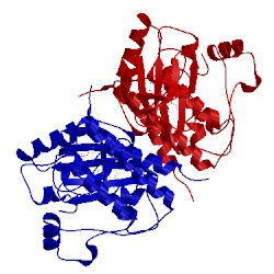 Image of CATH 1uwj