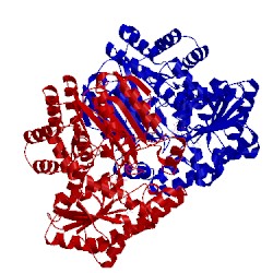 Image of CATH 1uwl