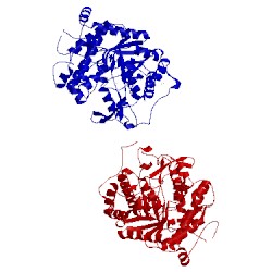 Image of CATH 1uws