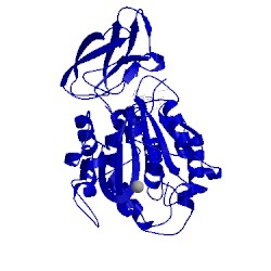 Image of CATH 1uwy