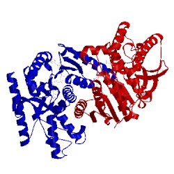 Image of CATH 1uxh