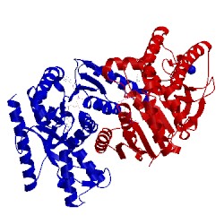 Image of CATH 1uxi