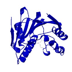Image of CATH 1uy7