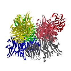 Image of CATH 1uyp