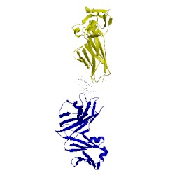 Image of CATH 1uz8