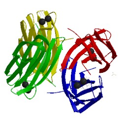 Image of CATH 1uzv