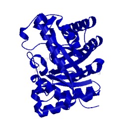 Image of CATH 1v0m