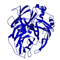 Image of CATH 1v10