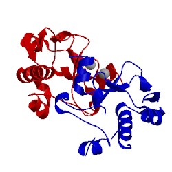 Image of CATH 1v13