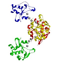 Image of CATH 1v15