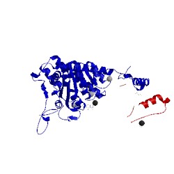 Image of CATH 1v1m