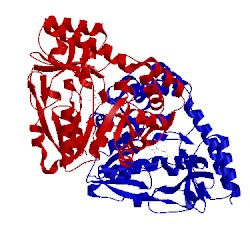 Image of CATH 1v2e