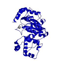 Image of CATH 1v34