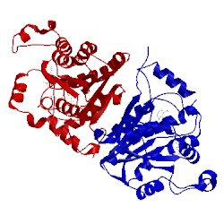 Image of CATH 1v35