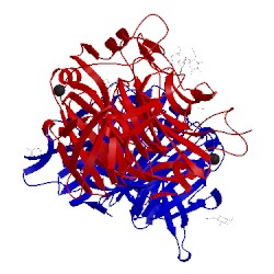 Image of CATH 1v3e