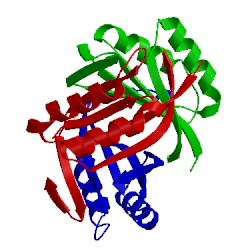 Image of CATH 1v3r