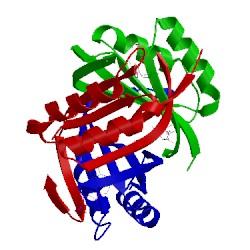 Image of CATH 1v3s