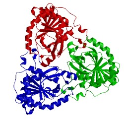 Image of CATH 1v4n