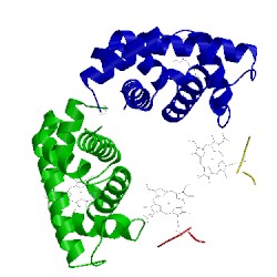 Image of CATH 1v4w