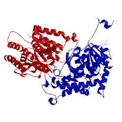 Image of CATH 1v6a