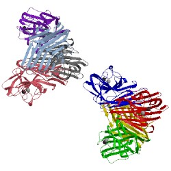 Image of CATH 1v6n