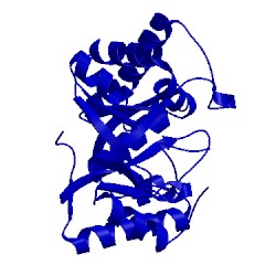 Image of CATH 1v6t