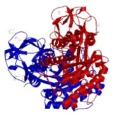 Image of CATH 1v6u