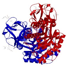 Image of CATH 1v6v