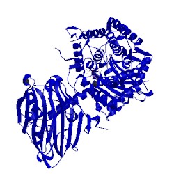 Image of CATH 1v7x