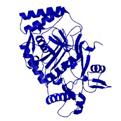 Image of CATH 1vag