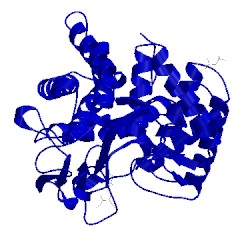 Image of CATH 1vd5