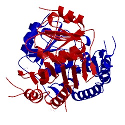Image of CATH 1vdw