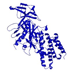 Image of CATH 1vdz