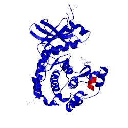 Image of CATH 1veb