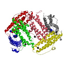 Image of CATH 1vel