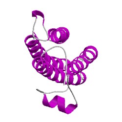 Image of CATH 1velA00