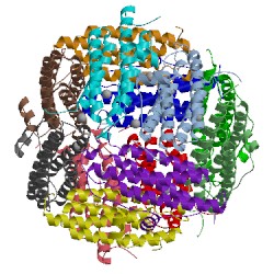 Image of CATH 1veq