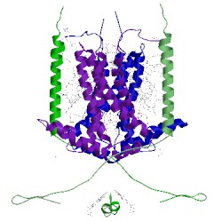 Image of CATH 1vf5