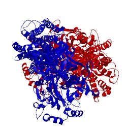 Image of CATH 1vfp