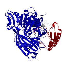 Image of CATH 1vg0