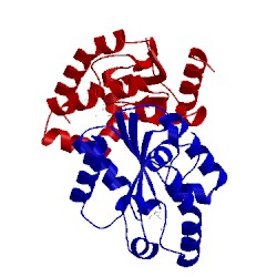 Image of CATH 1via