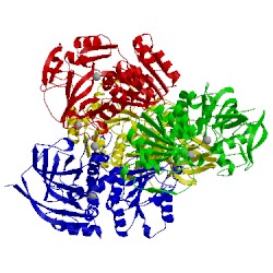 Image of CATH 1vj0