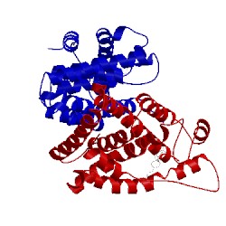 Image of CATH 1vjb