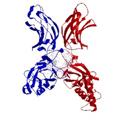 Image of CATH 1vkx