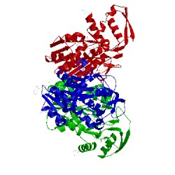 Image of CATH 1vl0