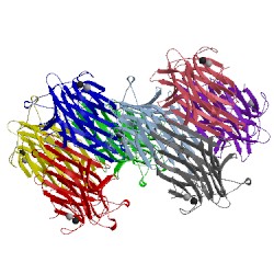 Image of CATH 1vln