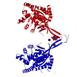 Image of CATH 1vlu