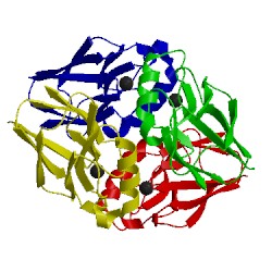 Image of CATH 1vlx