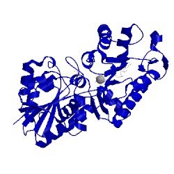 Image of CATH 1vpe