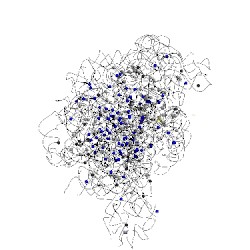 Image of CATH 1vq5